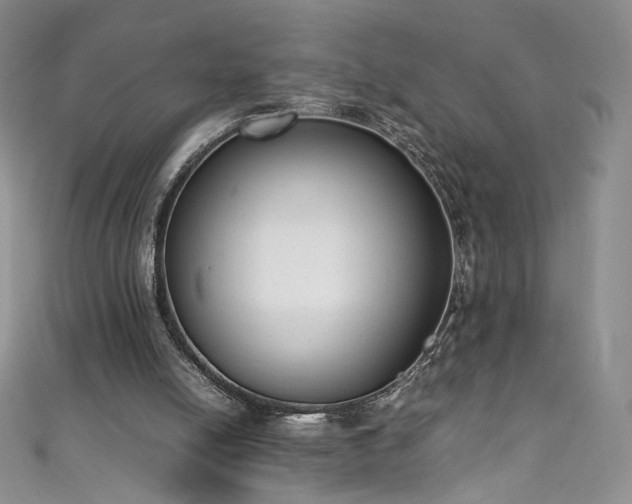 X0000111430054200907131232