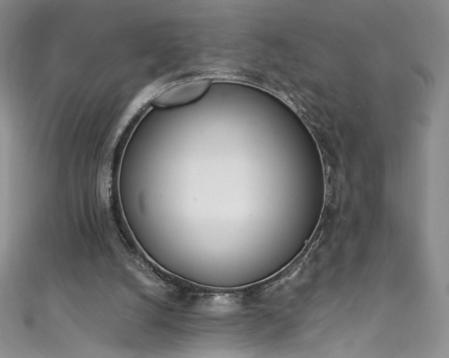 X0000111430056200907131232