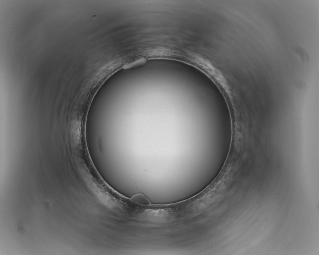 X0000111430057200907131232