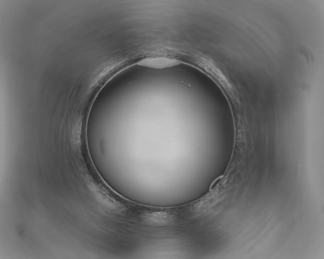 X0000111430058200907131232