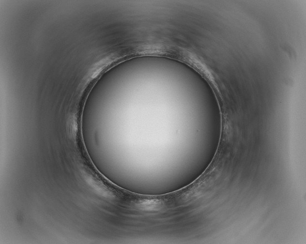 X0000111430059200907131232