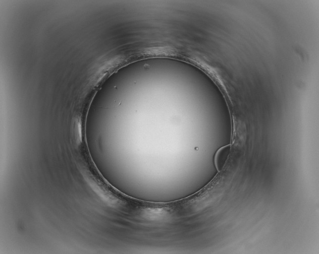 X0000111430061200907131232