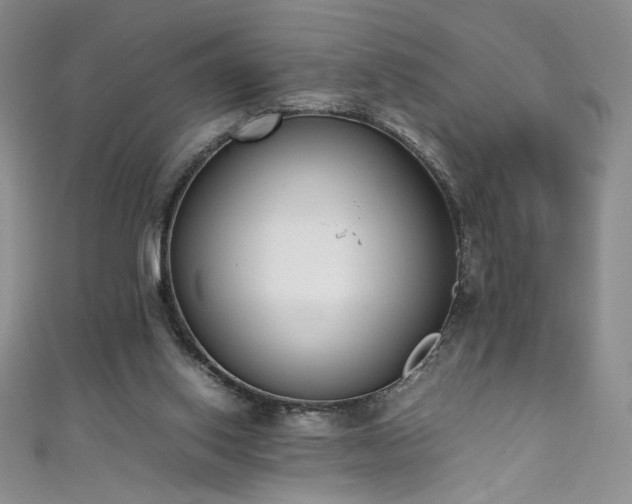 X0000111430062200907131232