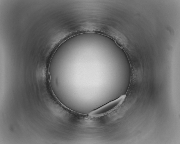 X0000111430064200907131232