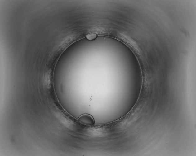 X0000111430065200907131232