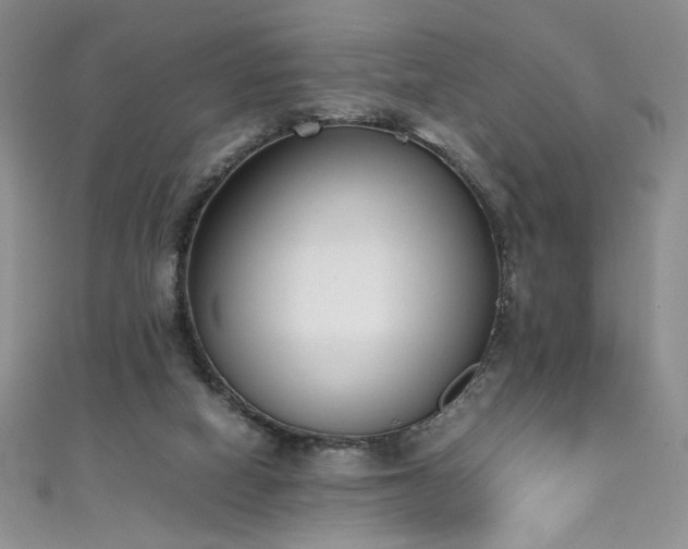 X0000111430066200907131232