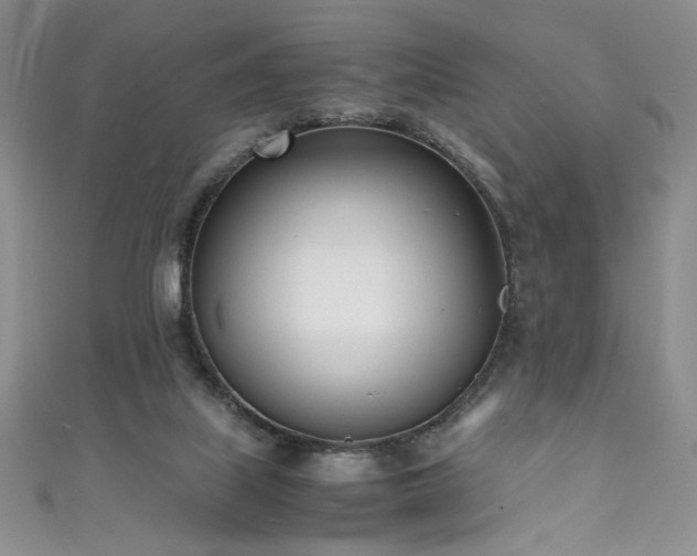 X0000111430067200907131232