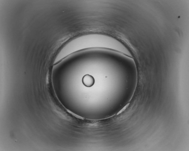 X0000111430068200907131232