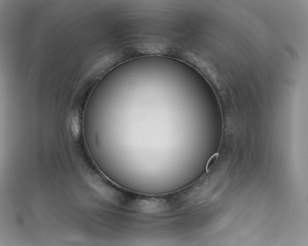 X0000111430069200907131232