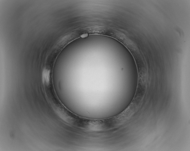 X0000111430070200907131232