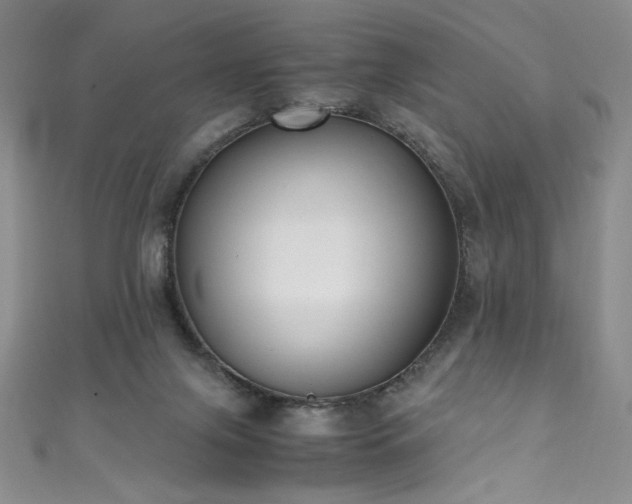 X0000111430071200907131232