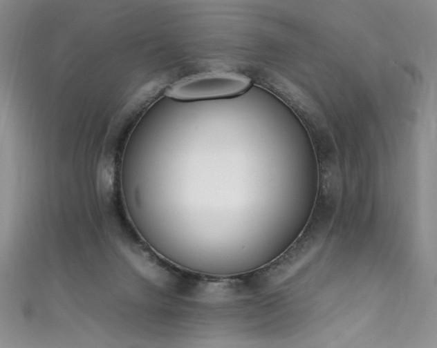 X0000111430072200907131232