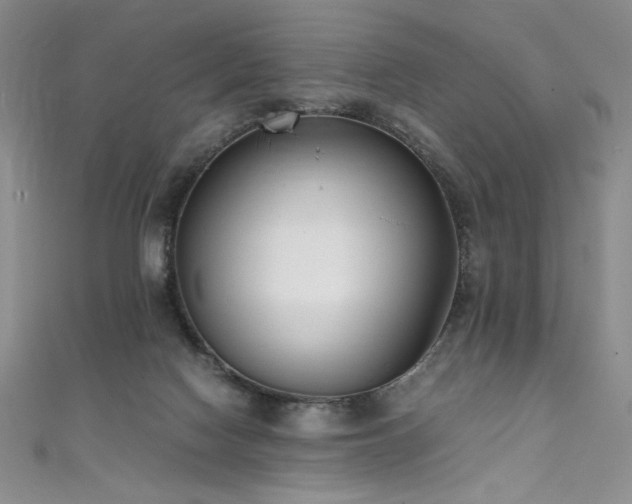 X0000111430074200907131232