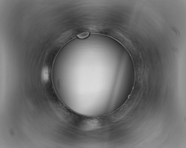 X0000111430075200907131232