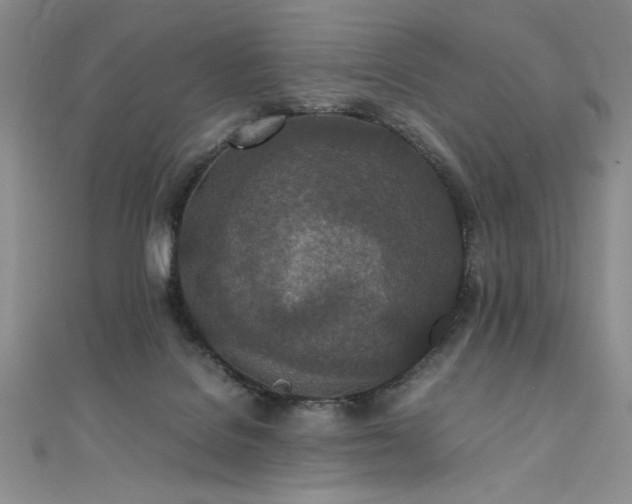 X0000111430076200907131232