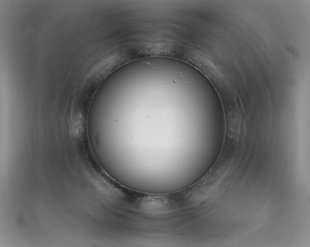 X0000111430077200907131232