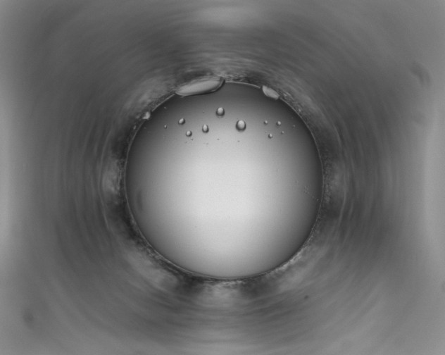 X0000111430078200907131232