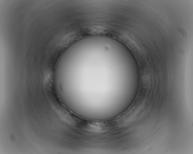 X0000111430079200907131232