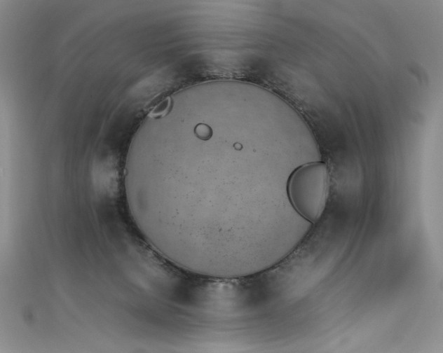 X0000111430080200907131232