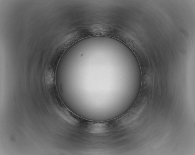 X0000111430081200907131232