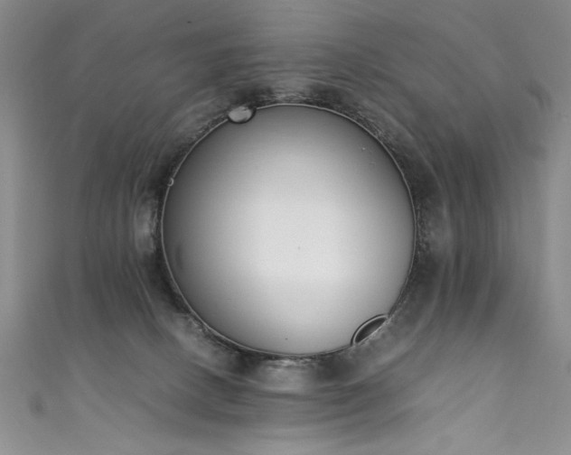 X0000111430082200907131232