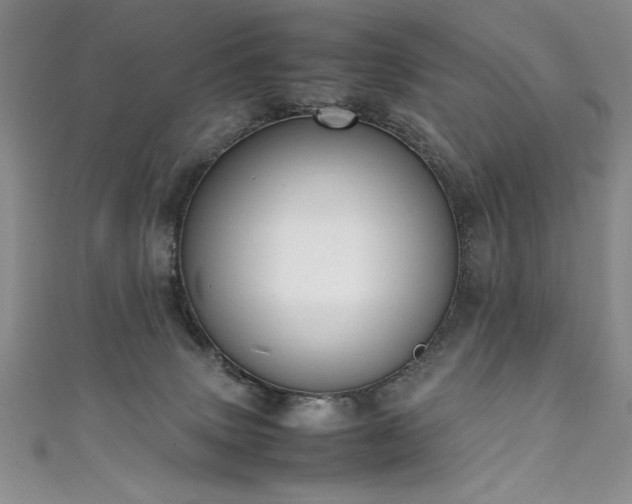 X0000111430083200907131232