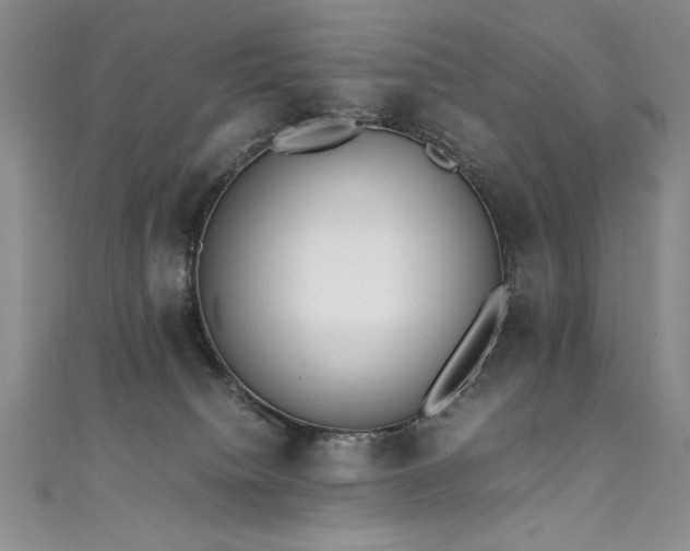 X0000111430084200907131232