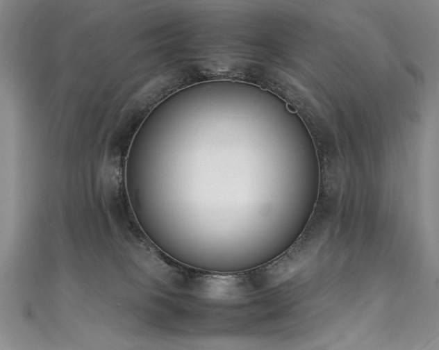 X0000111430085200907131232