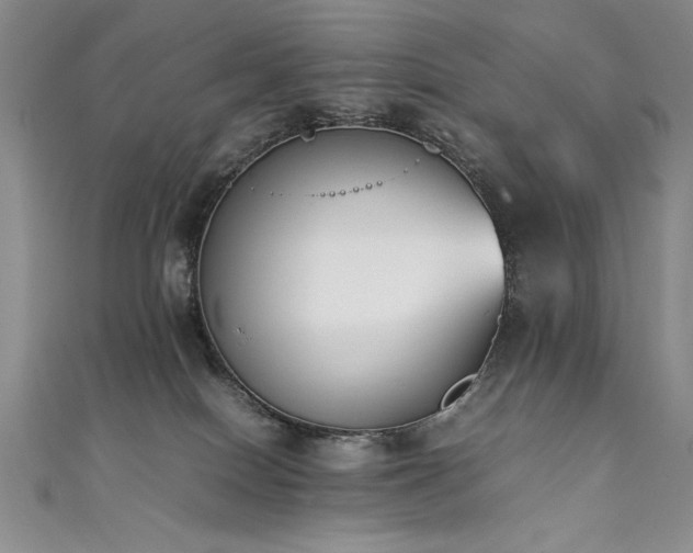 X0000111430086200907131232