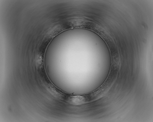 X0000111430087200907131232