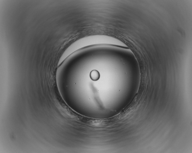 X0000111430088200907131232