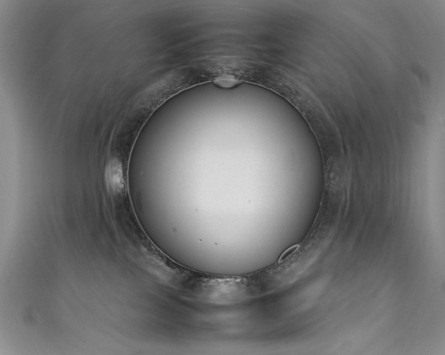 X0000111430089200907131232