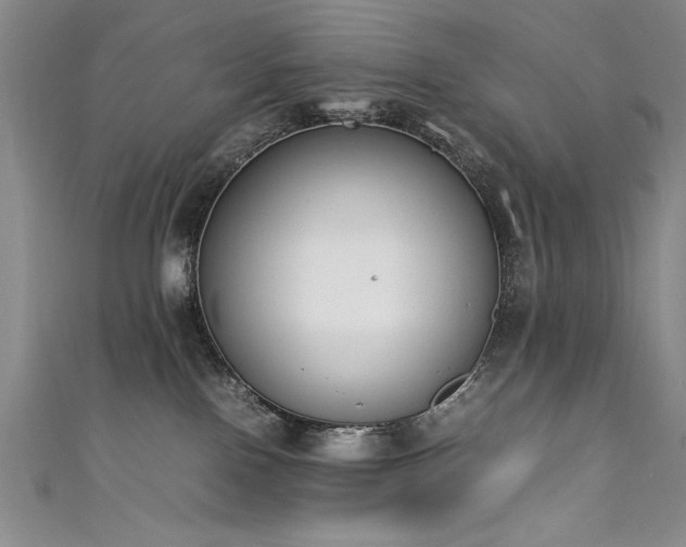 X0000111430090200907131232