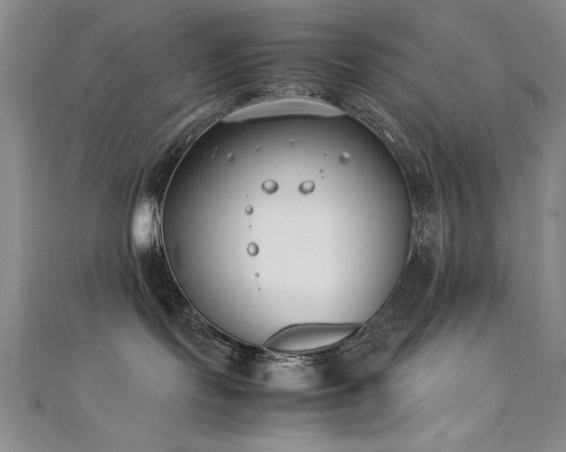 X0000111430095200907131232