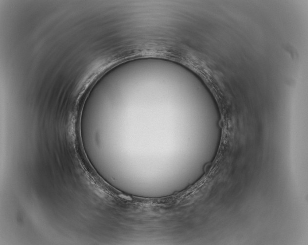 X0000111430098200907131231