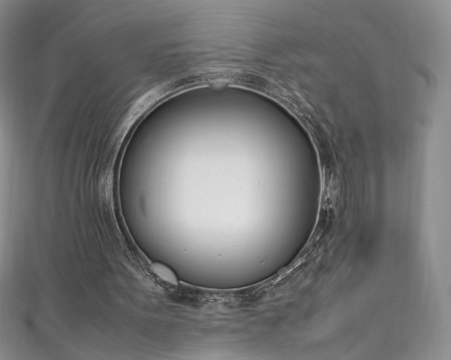 X0000111430099200907131231