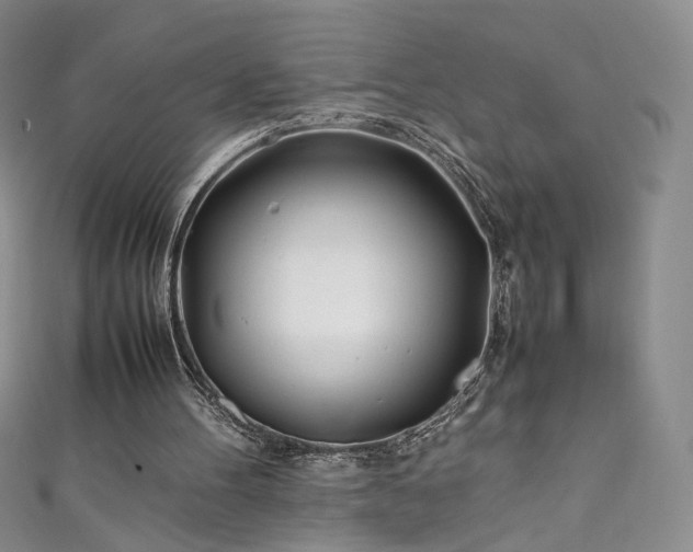 X0000111430100200907131231