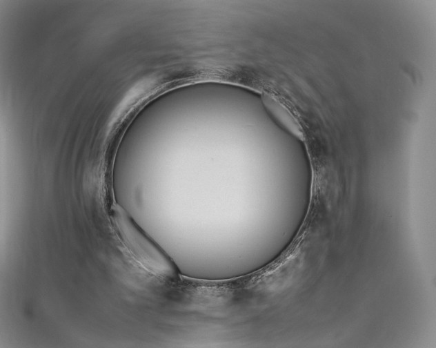 X0000111430101200907131231