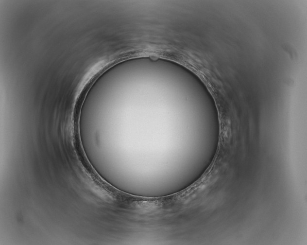 X0000111430102200907131231