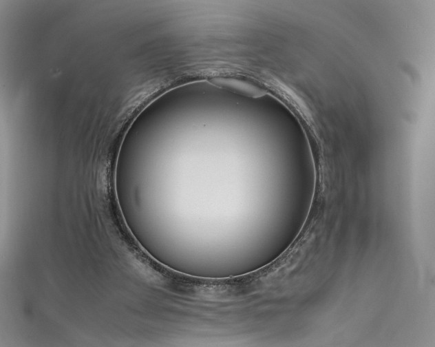 X0000111430105200907131231