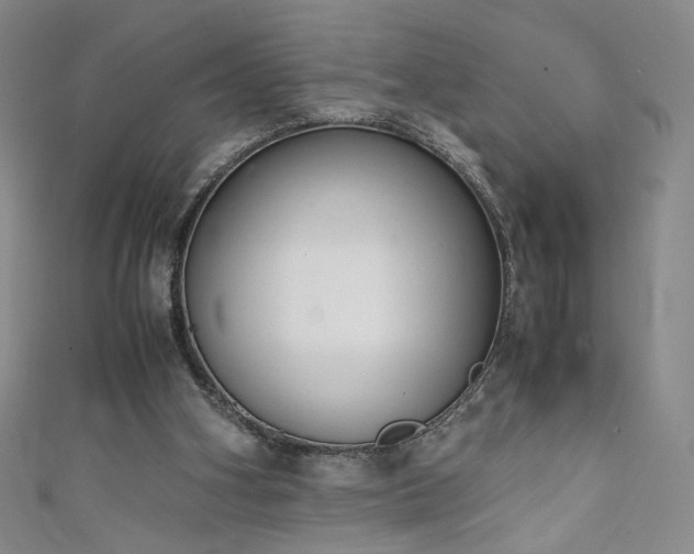 X0000111430106200907131231