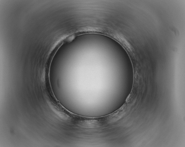 X0000111430108200907131231