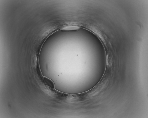 X0000111430109200907131231