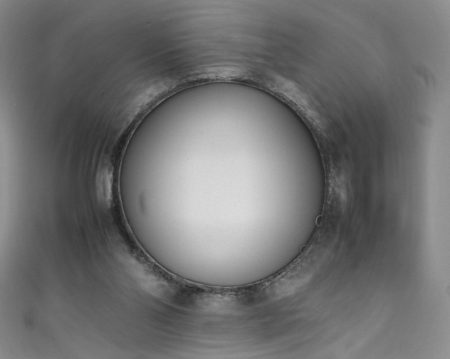 X0000111430110200907131231