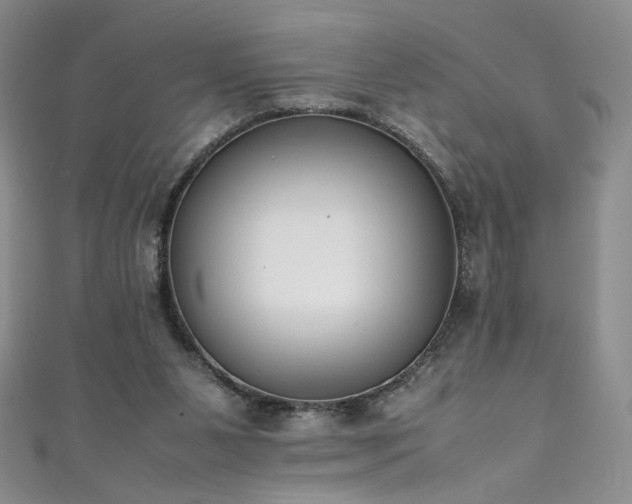 X0000111430111200907131231