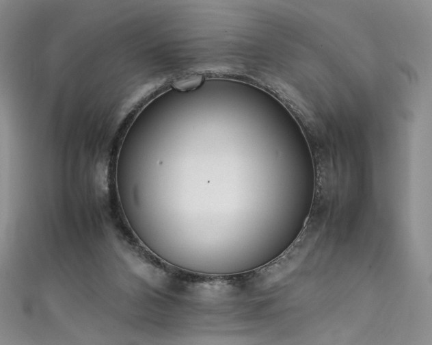 X0000111430112200907131231