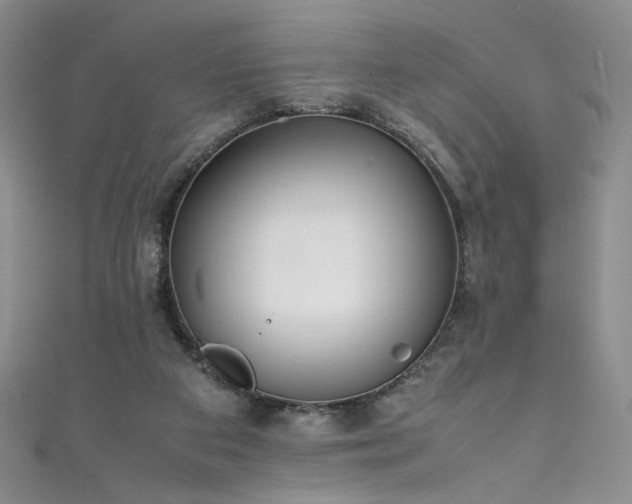 X0000111430113200907131231