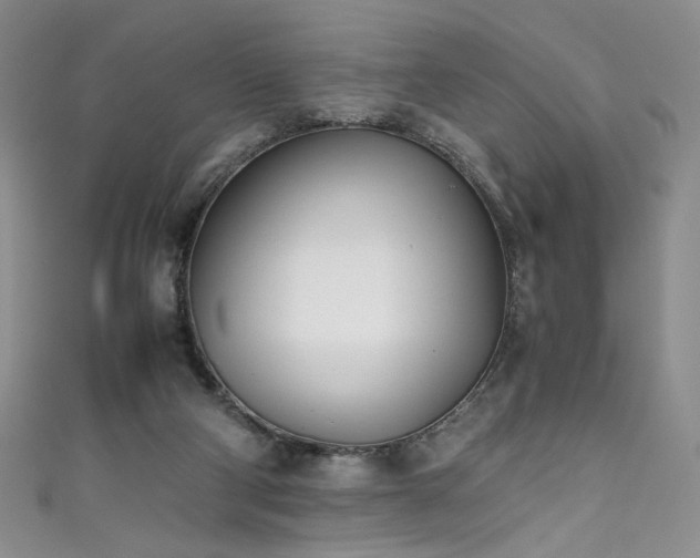 X0000111430114200907131231