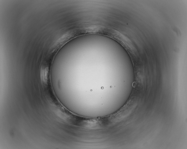 X0000111430118200907131231