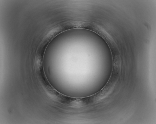 X0000111430119200907131231